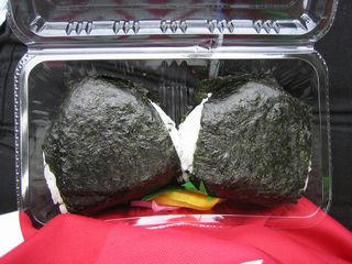 shirasu1.jpg