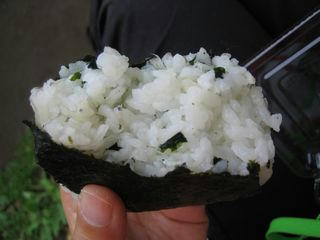 shirasu2.jpg