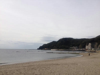 IMG_0828.jpg
