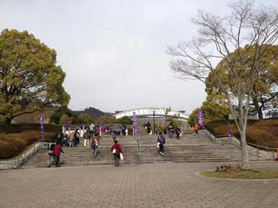 IMG_0063.jpg