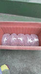 2012060218230000.jpg