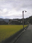 白川郷な街灯