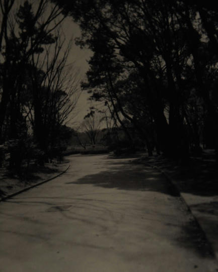 名城公園