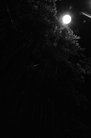 夜空