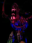 CAM591AW.jpg