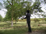 9ff0e692.jpg