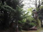f5629974.jpg
