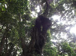 78d222c6.jpg