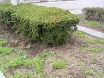 P1010280.JPG
