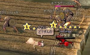 31.JPG