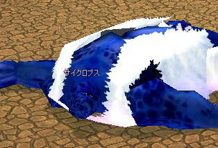 176.JPG