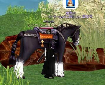 200.JPG