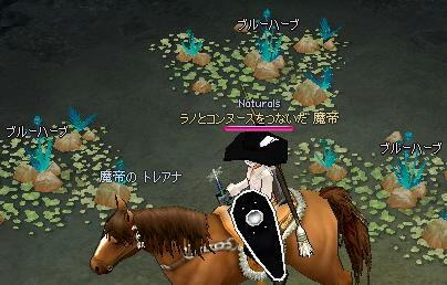 204.JPG