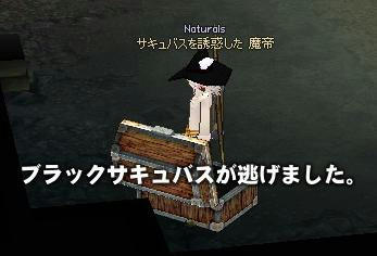 206.JPG