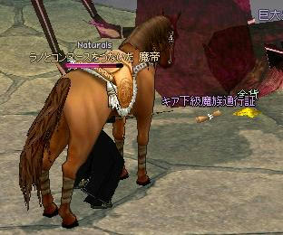 209.JPG