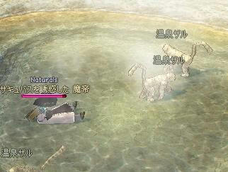 210.JPG