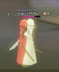 211.JPG