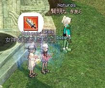 243.JPG