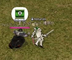 253.JPG
