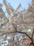 200904241816000_2.jpg