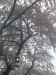200904261647000_2.jpg