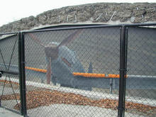 武蔵野の森公園 掩体壕