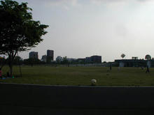 昭和記念公園 ゆめひろば