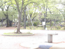 桜堤団地中央公園