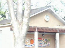 桜堤団地中央公園