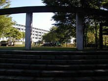 うさぎさん公園トイレ