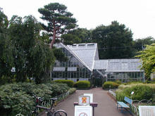 東京都薬用植物園