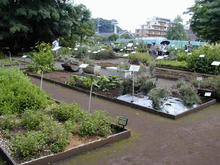 東京都薬用植物園