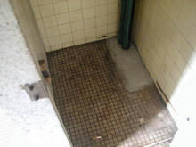 神代植物園分園　グリーンギャラリートイレ