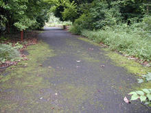 神代植物園分園　グリーンギャラリー