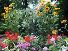 神代植物園分園　グリーンギャラリー