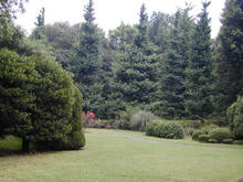 神代植物園分園　グリーンギャラリー