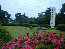 多磨霊園　小金井門広場