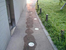 武蔵国分寺公園　南トイレ