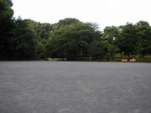 立川公園　菖蒲園