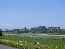 多摩市交通公園