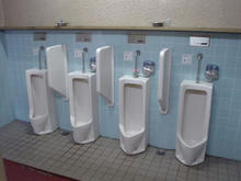 金乗院のトイレ