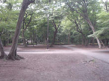 井の頭公園　公園西側