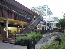 若葉ケヤキモール