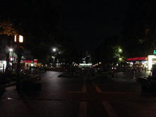 パルテノン多摩大通り