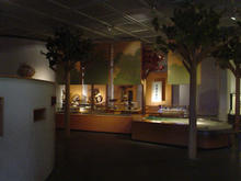 郷土博物館