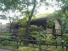 さいたま緑の森博物館案内所