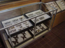 さいたま緑の森博物館案内所