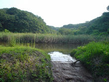 さいたま緑の森博物館案内所