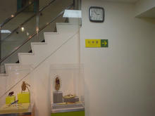 目黒寄生虫館　1階トイレ