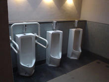 昭和記念公園　水鳥の池南トイレ